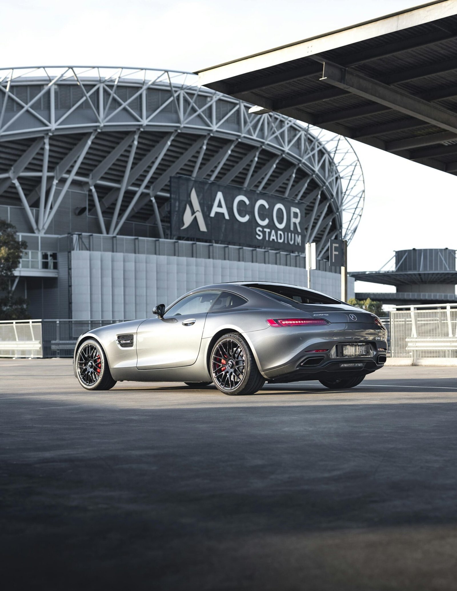 pexels-raimundo-campbell-2149207419-30479098